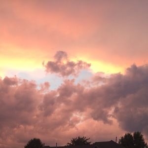 Meet your Posher, Suha